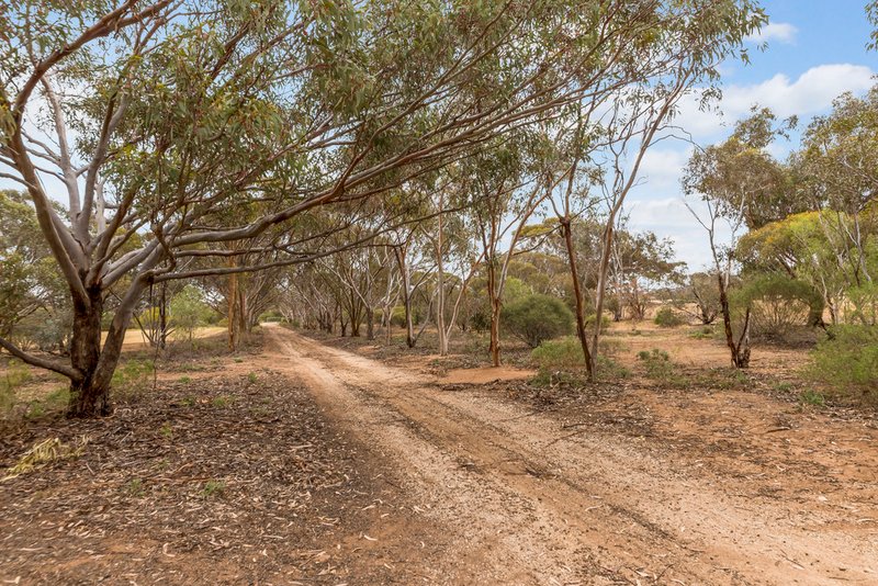 Photo - 51 Old Mallala Road, Owen SA 5460 - Image 20