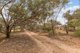 Photo - 51 Old Mallala Road, Owen SA 5460 - Image 20