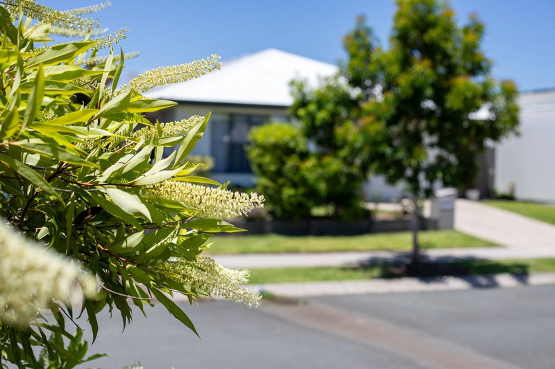 Photo - 51 Olivia Crescent, Nirimba QLD 4551 - Image 17