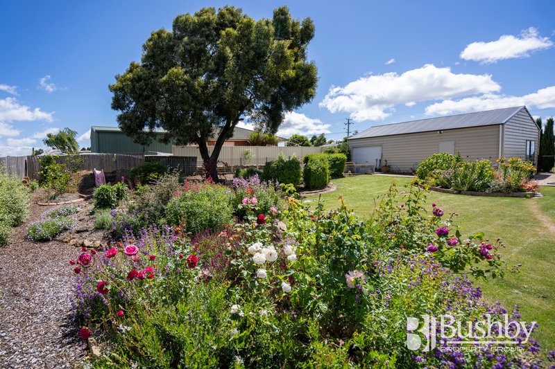 Photo - 51 Panorama Road, Blackstone Heights TAS 7250 - Image 25