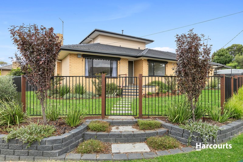 Photo - 51 Peter Street, Grovedale VIC 3216 - Image 12