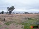 Photo - 51 Ridge Street, Attunga NSW 2345 - Image 9