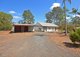 Photo - 51 Scanlan Street, Sunshine Acres QLD 4655 - Image 17