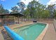 Photo - 51 Scanlan Street, Sunshine Acres QLD 4655 - Image 24