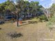 Photo - 51 Scribbly Gum Avenue, Tallong NSW 2579 - Image 13