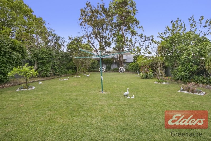 Photo - 51 Tennyson Road, Greenacre NSW 2190 - Image 6