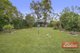 Photo - 51 Tennyson Road, Greenacre NSW 2190 - Image 6