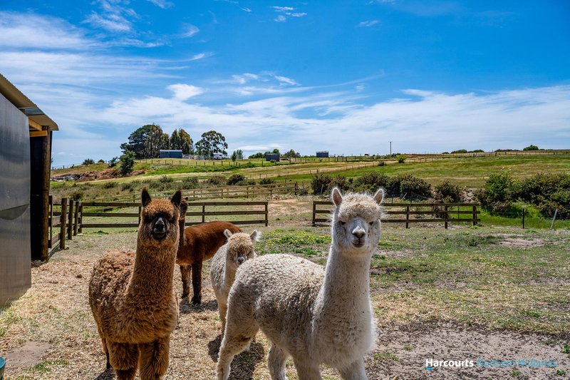 Photo - 51 Waterloo Street, Ross TAS 7209 - Image 13