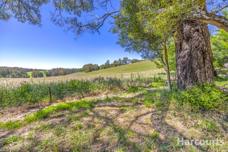 Photo - 51 Wattle Lane, Neerim South VIC 3831 - Image 15