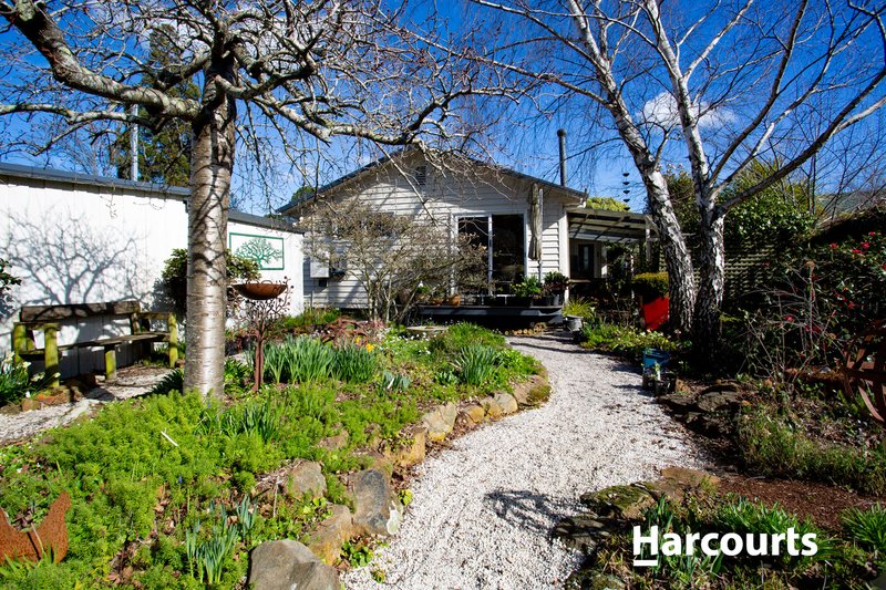 Photo - 51 Wellington Street, Longford TAS 7301 - Image 3