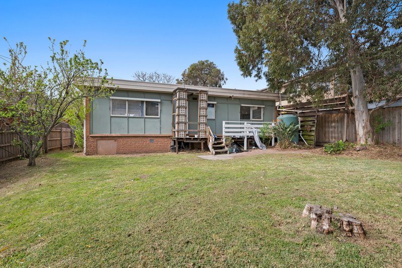 Photo - 51 Wilson Street, Cheltenham VIC 3192 - Image 6