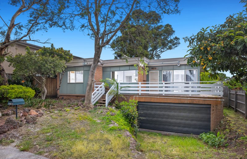 Photo - 51 Wilson Street, Cheltenham VIC 3192 - Image 18