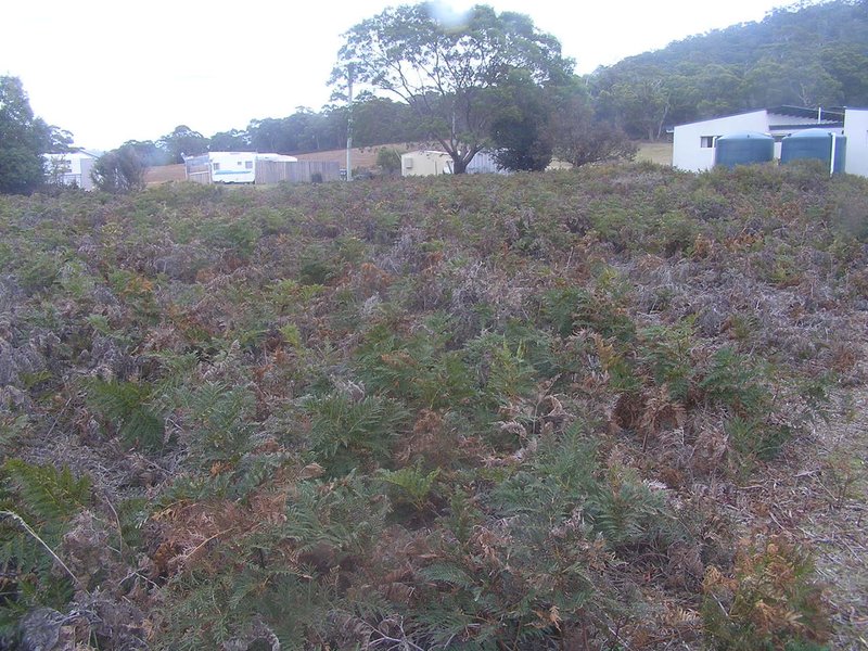 Photo - 510 Sommers Bay Road, Murdunna TAS 7178 - Image 3