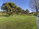 Photo - 511 Waterfall Way, Fernmount NSW 2454 - Image 12