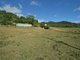 Photo - 512 Carool Road, Carool NSW 2486 - Image 18