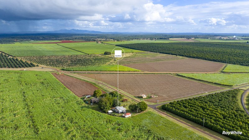 Photo - 512 Lynwood Road, North Isis QLD 4660 - Image 1