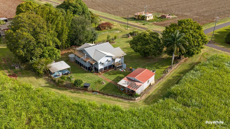 Photo - 512 Lynwood Road, North Isis QLD 4660 - Image 4