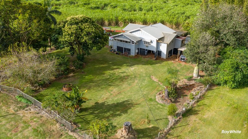 Photo - 512 Lynwood Road, North Isis QLD 4660 - Image 27