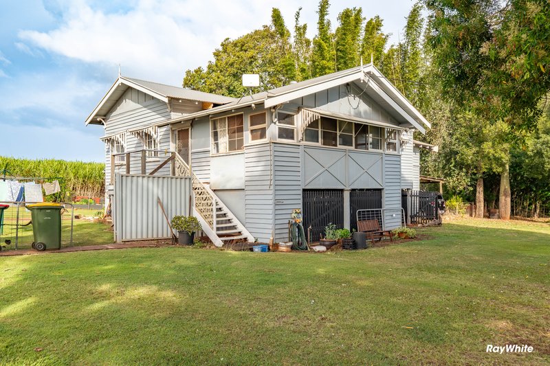 Photo - 512 Lynwood Road, North Isis QLD 4660 - Image 28