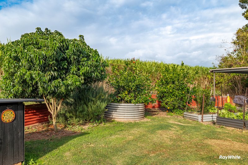 Photo - 512 Lynwood Road, North Isis QLD 4660 - Image 29