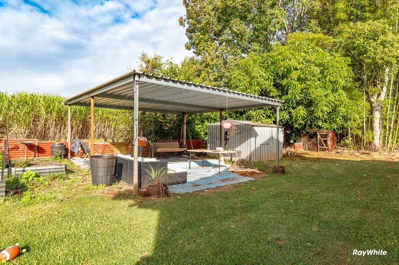 Photo - 512 Lynwood Road, North Isis QLD 4660 - Image 30