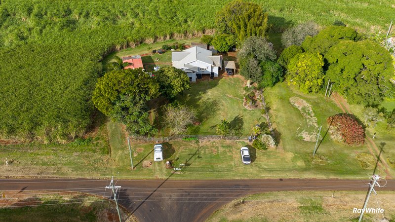 Photo - 512 Lynwood Road, North Isis QLD 4660 - Image 35