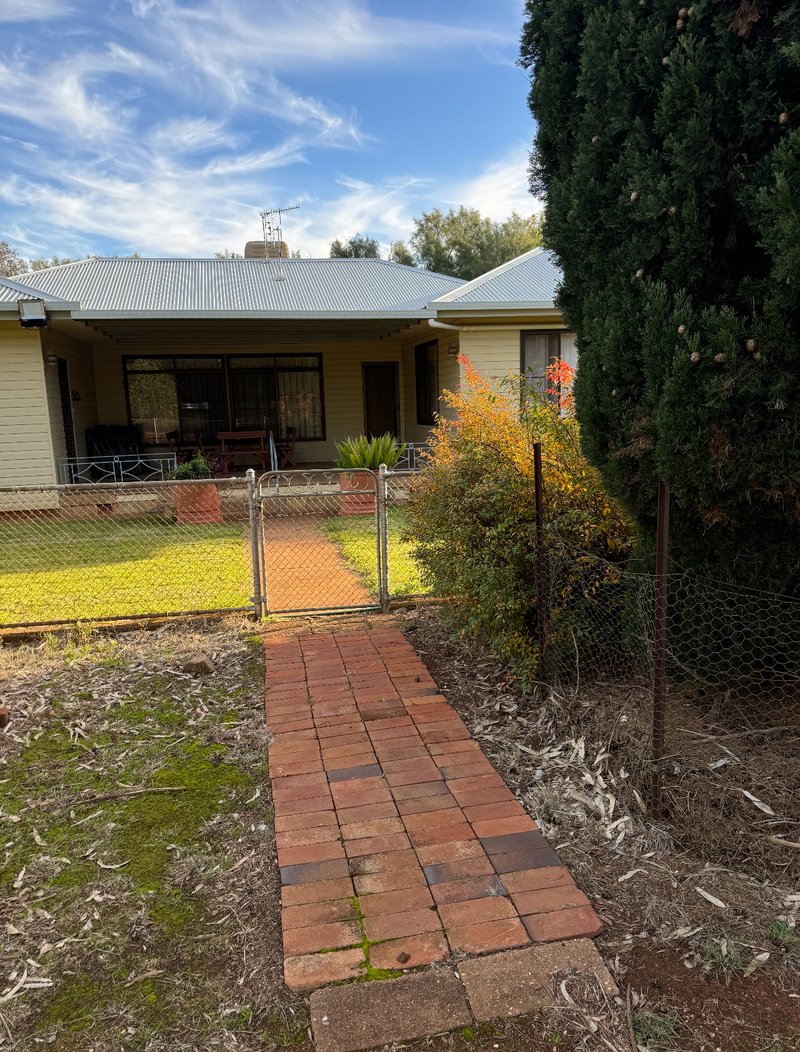 Photo - 513 Condobolin - Trundle Road, Trundle NSW 2875 - Image 18