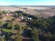 Photo - 513 Condobolin - Trundle Road, Trundle NSW 2875 - Image 23