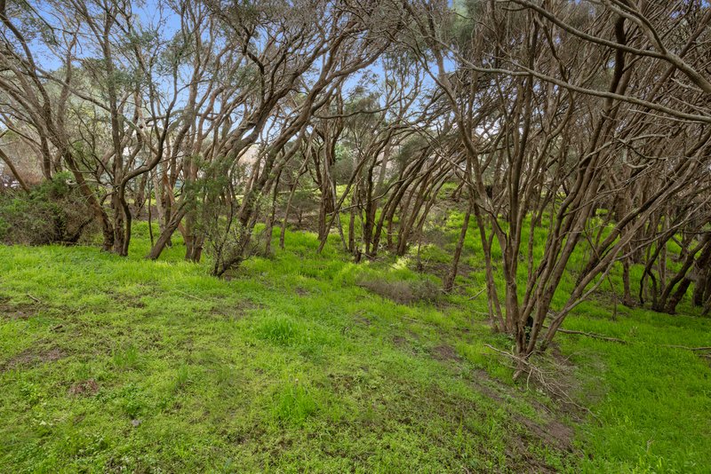 Photo - 514 Browns Road, Rye VIC 3941 - Image 12