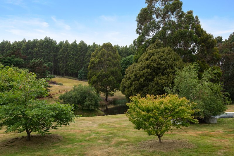 Photo - 514 Golconda Road, Lilydale TAS 7268 - Image 20