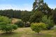 Photo - 514 Golconda Road, Lilydale TAS 7268 - Image 20