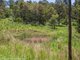 Photo - 515 Boorabee Creek Road, Kyogle NSW 2474 - Image 17