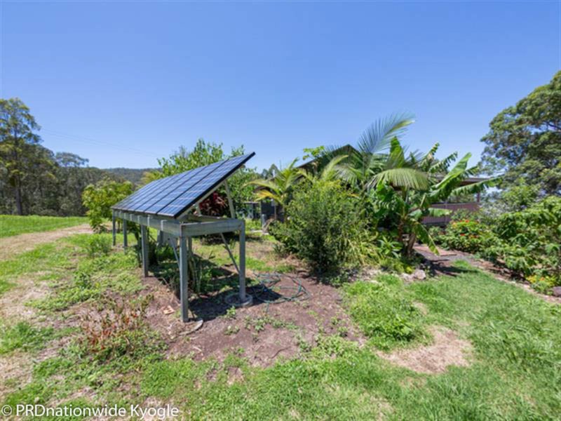 Photo - 515 Boorabee Creek Road, Kyogle NSW 2474 - Image 21