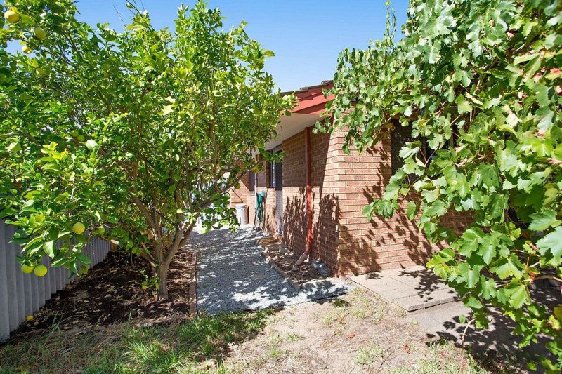 Photo - 5/15 Caledonian Avenue, Maylands WA 6051 - Image 14