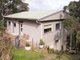 Photo - 517 Barrenjoey Road, Bilgola Beach NSW 2107 - Image 15