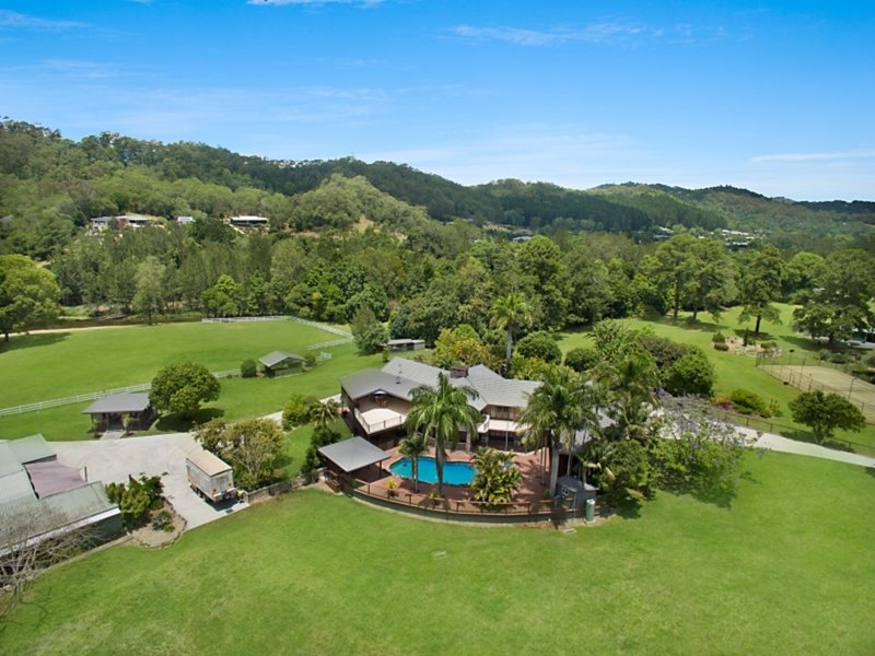 Photo - 517 Currumbin Creek Road, Currumbin Valley QLD 4223 - Image 6