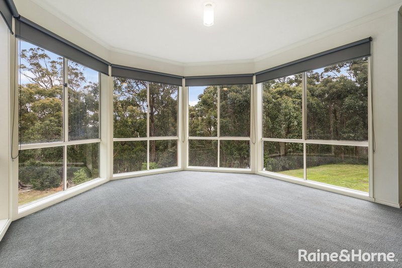 Photo - 517 Sandy Creek Road, Riddells Creek VIC 3431 - Image 16