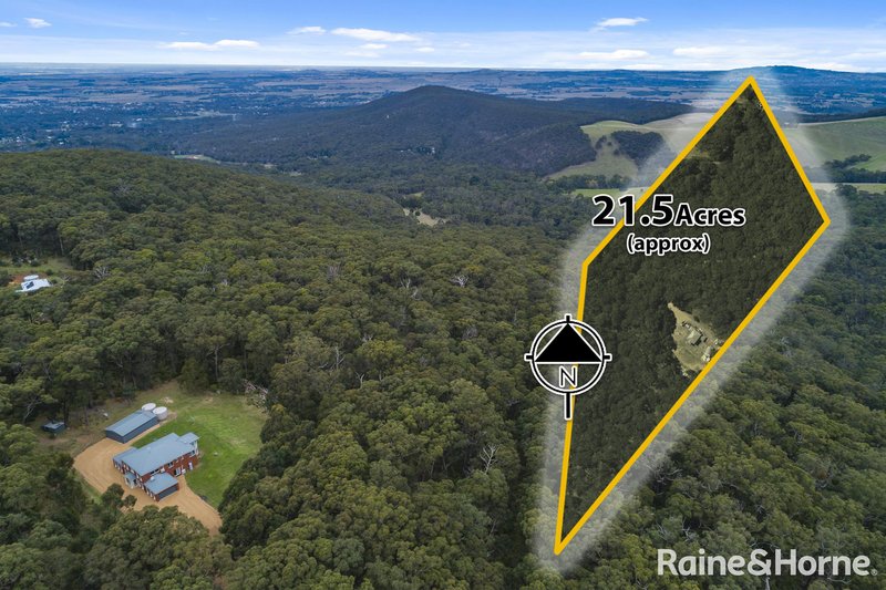 Photo - 517 Sandy Creek Road, Riddells Creek VIC 3431 - Image 24