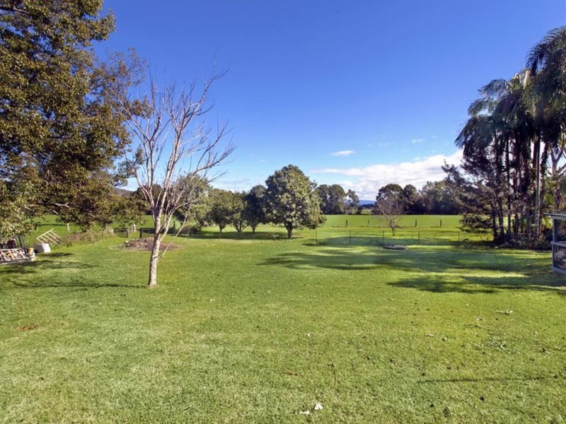 Photo - 517 Waterfall Way, Fernmount NSW 2454 - Image 14