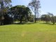 Photo - 517 Waterfall Way, Fernmount NSW 2454 - Image 19