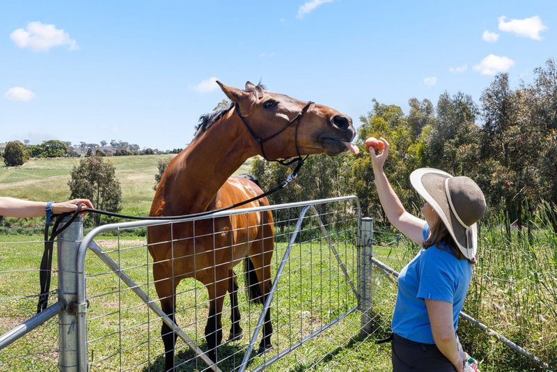 Photo - 517 Yass River Road, Yass River NSW 2582 - Image 3