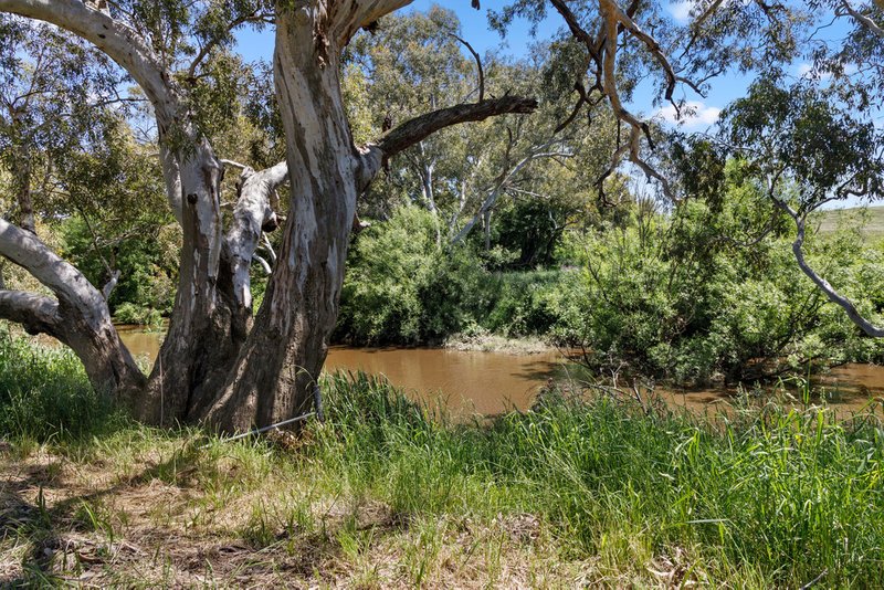 Photo - 517 Yass River Road, Yass River NSW 2582 - Image 4