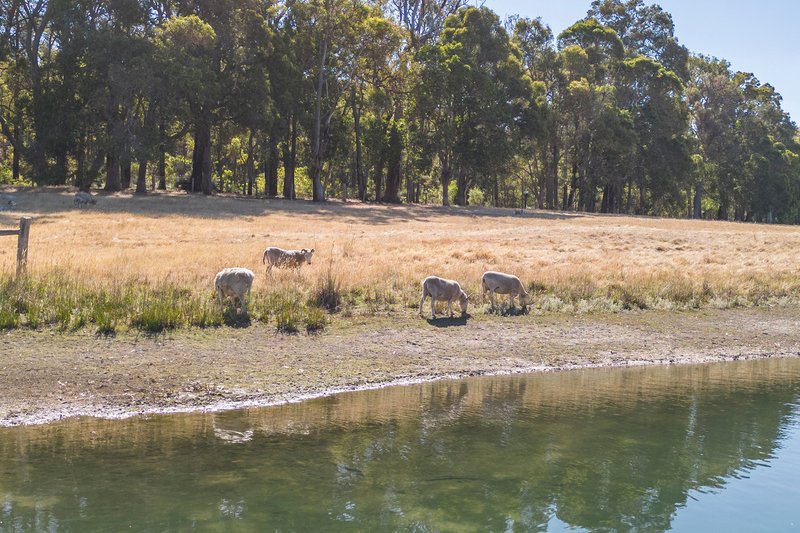 Photo - 5170 Vasse Highway, Nannup WA 6275 - Image 10