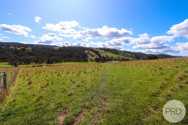 Photo - 518 Batlow Road, Tumbarumba NSW 2653 - Image 3