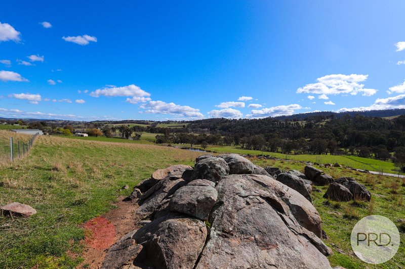 Photo - 518 Batlow Road, Tumbarumba NSW 2653 - Image 4