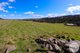 Photo - 518 Batlow Road, Tumbarumba NSW 2653 - Image 5