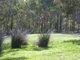 Photo - 518 Harvey Road, Denbarker WA 6324 - Image 7