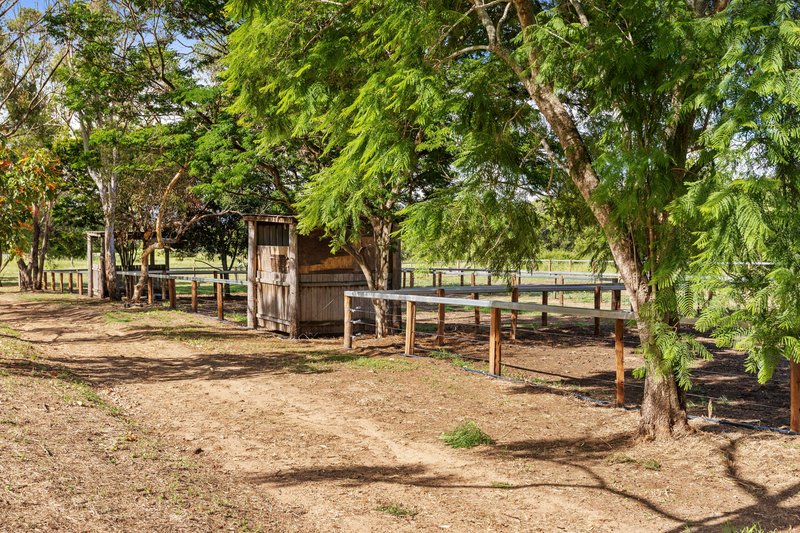 Photo - 519 Derrymore Road, Derrymore QLD 4352 - Image 24