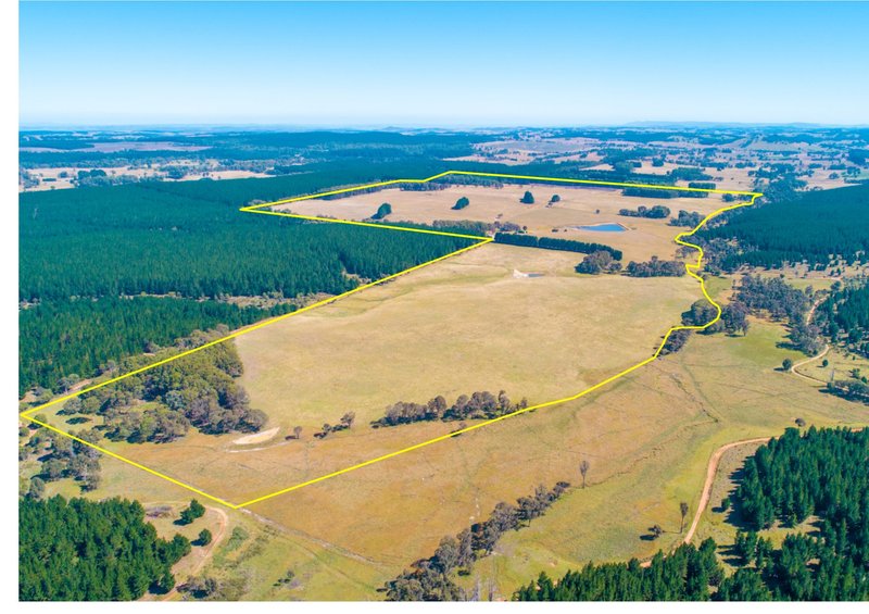 519 Jerula Road, Oberon NSW 2787