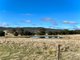 Photo - 519 Rosemont Road, Goulburn NSW 2580 - Image 20